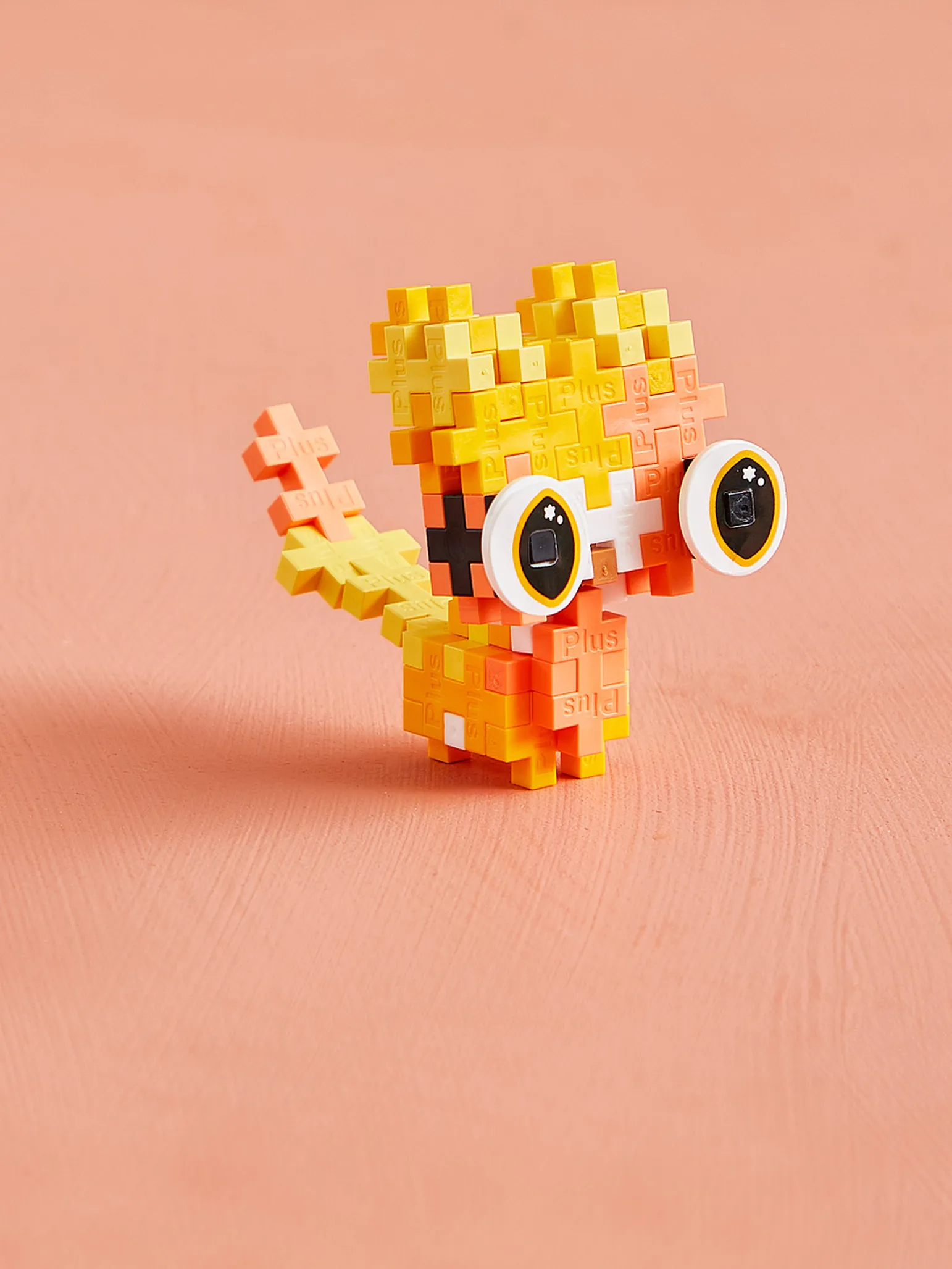 Husdjurspaket – Katt